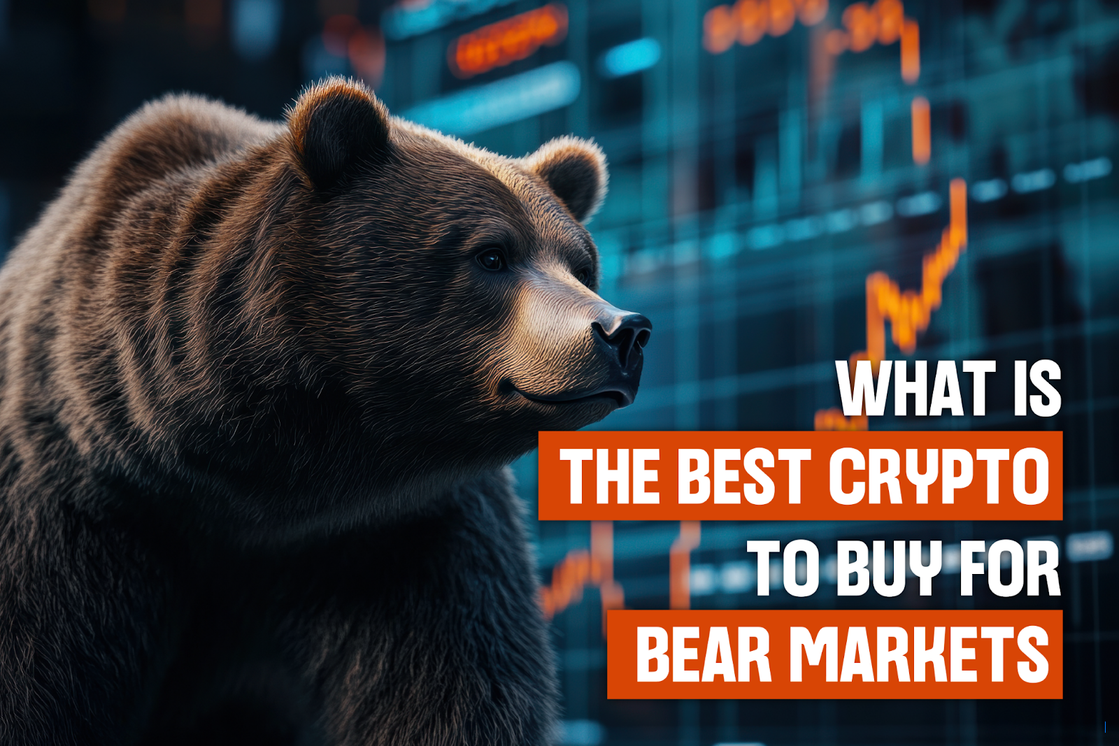 Kripto Terbaik yang Harus Dibeli Saat Pasar Bear (Dan Mengapa Investor Pintar Tidak Menunggu)