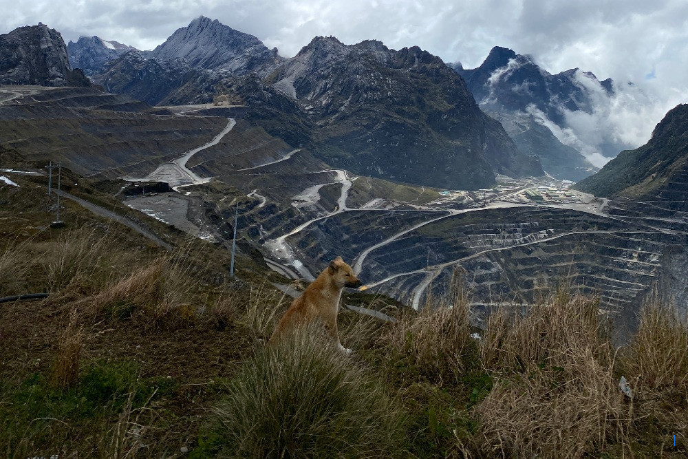 Kata Freeport: Beri Tambahan 12% Saham Gratis untuk RI