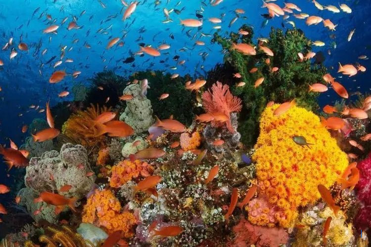 5 Destinasi Wisata Favorit di Manado yang Harus Dikunjungi