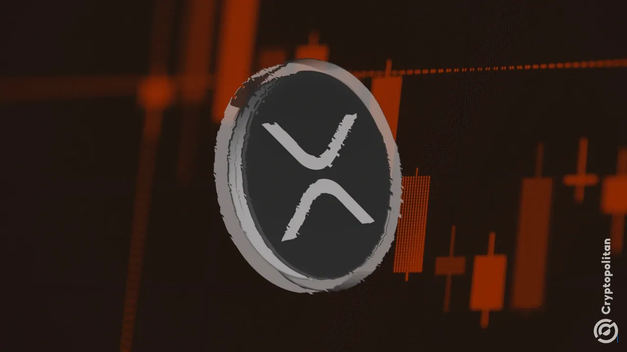 Pendiri Black Swan Capitalist mengatakan bahwa XRP dapat membuka likuiditas utang