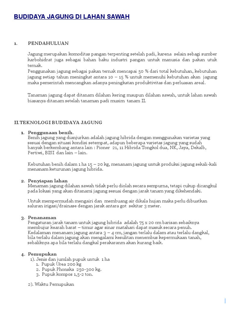 20 Hektar Lahan Tambang di Paser Dijadikan Sawah Jagung