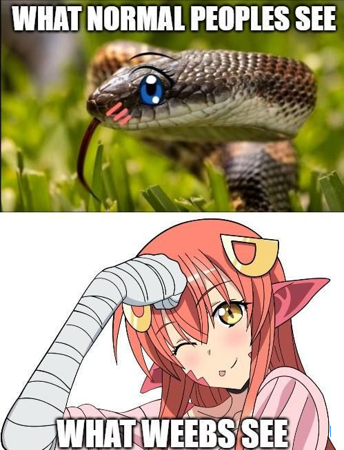 8 Meme Anime Ular, Ada Waifu?