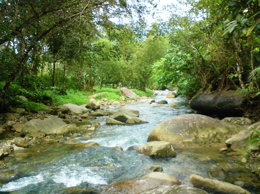 Lingkungan Jadi Perhatian Gubernur saat Berkunjung ke PT Nadesico Nickel Industry