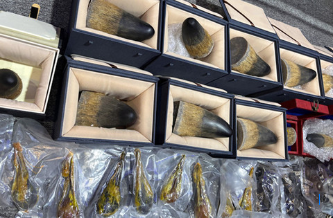 WNA Tiongkok Dibebaskan dari Kasus Penyelundupan Hewan Liar ke Manado