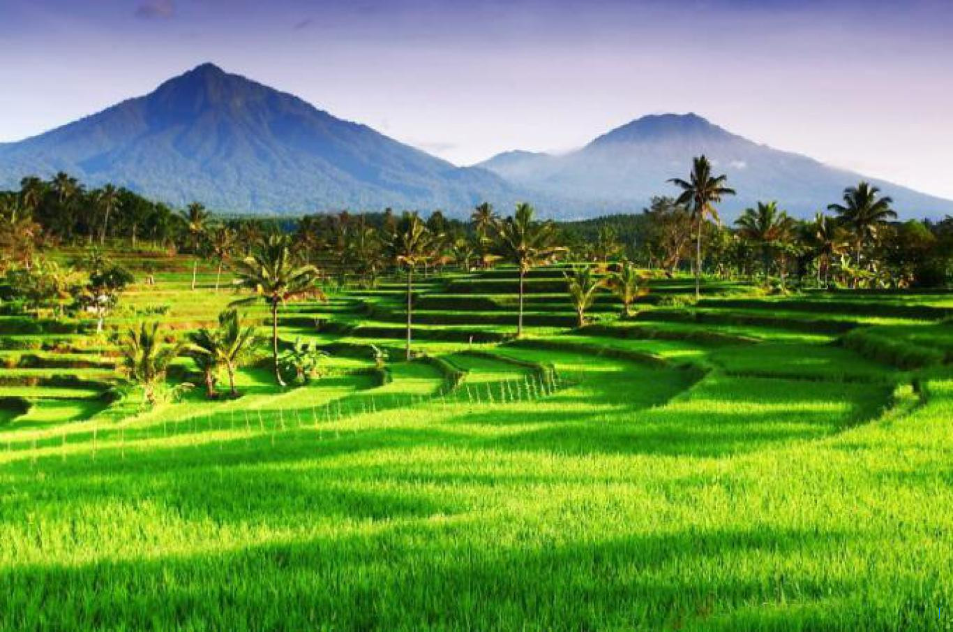 Desa Dayeuhkolot Selidiki Pungutan Liar KTP dan KK Rp 800 Ribu