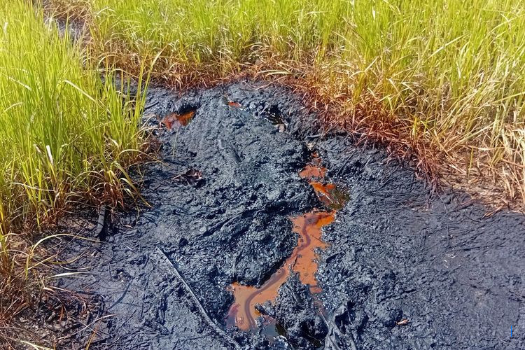 Cairan Hitam Mirip Minyak di Nganjuk Ditemukan Sejak Zaman Kolonial