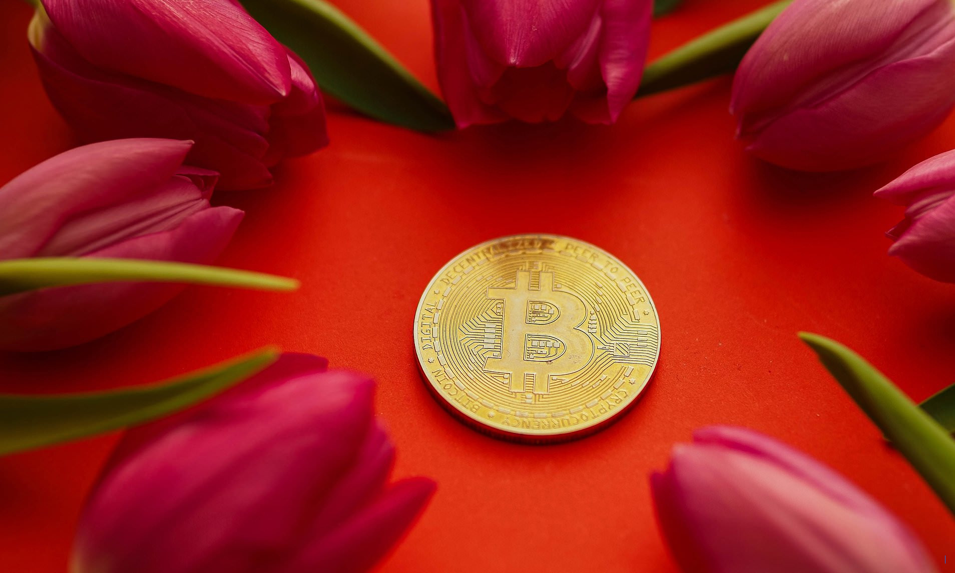 Waspadai penipu kripto: Tampaknya seperti euforia bawang merah tulip lagi, kata ALEX BRUMMER