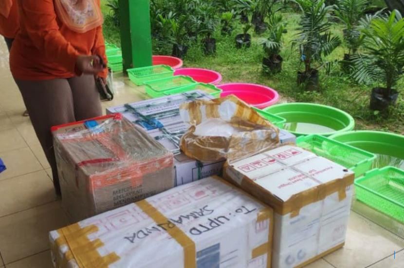 Kaltim Tingkatkan Ketahanan Sawit Melalui Benih Lokal