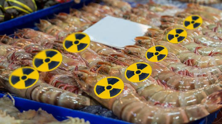 Hasil Investigasi Udang Terkontaminasi Radioaktif