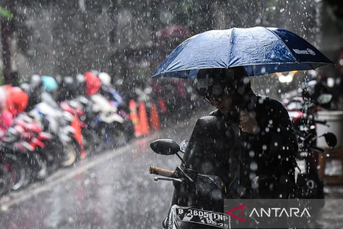 Cuaca Jambi: Hujan Merata Senin, Berawan Selasa-Minggu