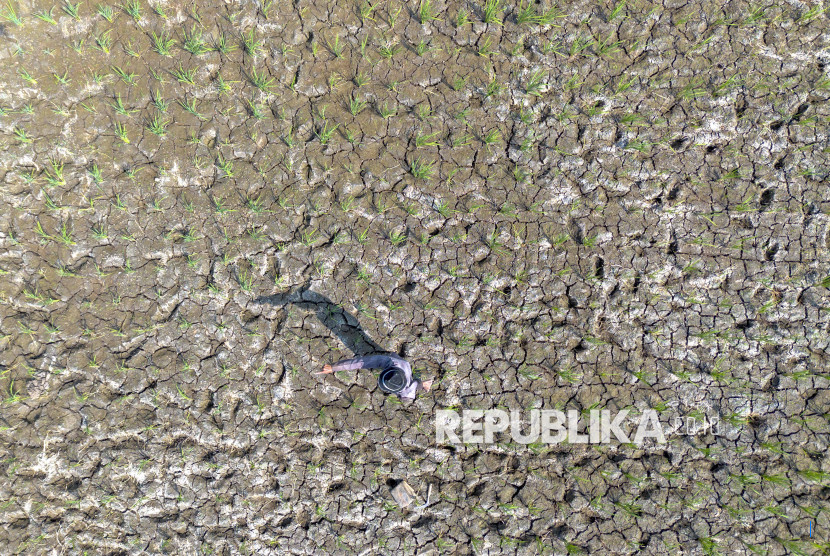 Hari Tani: KPA Soroti Ketimpangan dan Represi Aparat