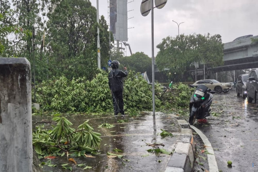 Hujan Lebat, Pohon Tumbang di Lebak Bulus Jaksel
